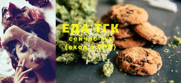 гашик Аркадак